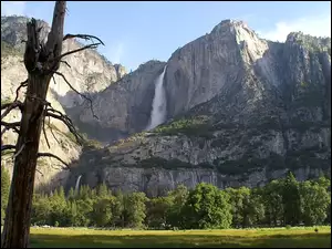 Park Narodowy Yosemite, Łąka, Stany Zjednoczone, Góry, Stan Kalifornia, Drzewa