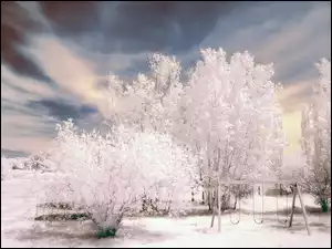 Śnieg, Aura, Drzewa, Zimowa