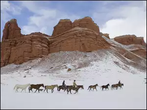 Konie, Góry, Śnieg