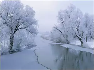 Rzeka, Mróz, Drzewa, Śnieg