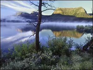 Jezioro, Park, USA, Colorado, Góry, Narodowy