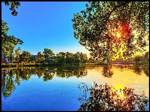 Słońce, Drzewo, Jzioro