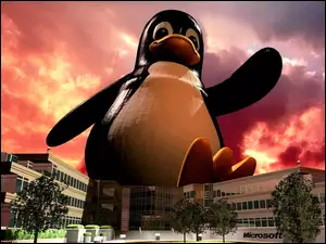 Linux, Pingwin, Budynek