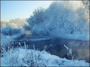 Zima, Drzewa, Rzeka, Most