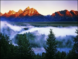 Grand Teton, Mgła, Park, Las, Narodowy, Góry
