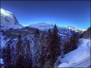 Zima, Drzewa, Góry, Droga