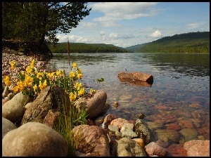 Kwiaty, Jezioro, Kamienie