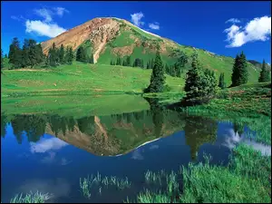 Trawa, Odbicie, Kolorado, Góra, Woda, Drzewa