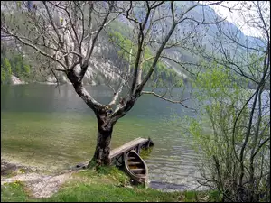 Jezioro, Drzewo, Pomost, Łódka