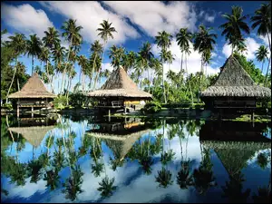 Polinezja Francuska, Palmy, Wyspa Moorea, Domki
