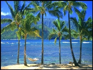 Hamak, Hawaje, Woda, Kauai, Palmy