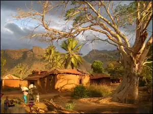 Tanzania, Góry, Drzewo, Wioska, Mieszkańcy