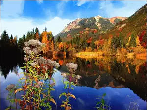 Jezioro, Jesień, Góry, Las