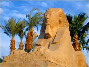 Egipt, Sfinksów, Luksor, Aleja