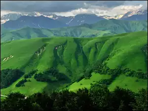 Góry, Drzewa, Zielone, Wzgórza
