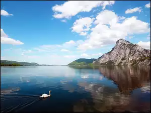 Piękne, Góry, Jezioro, Łabędź