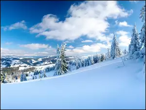 Wzgórza, Śnieg, Drzewa, Niebo