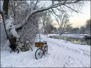 Park, Rowery, Śnieg, Rzeka