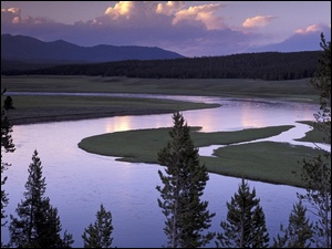 Lasy, Stany Zjednoczone, Rzeka, Park Narodowy Yellowstone, Góry
