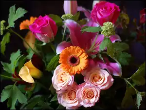 Bukiet, Różowe, Róże
