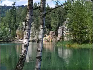 Jezioro, Brzoza, Ardspach, Czechy