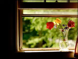 Okno, Tulipany, Wazon