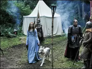 Sansa Stark - Sophie Turner, Pies, Game of Thrones, Gra o tron, Rycerze