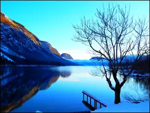 Zima, Drzewo, Góry, Jezioro