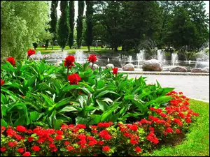 Fontanna, Park, Czerwone, Klomb, Kwiaty