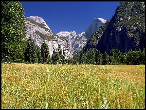 Góry, Yosemite, Kalifornia