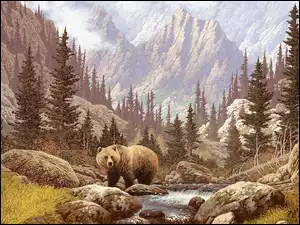 Niedźwiedź, Góry, Las, Rzeka, Kamienie