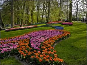 Park, Trawniki, Kwiaty, Drzewa