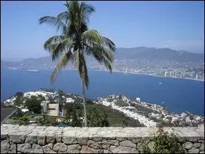Acapulco, Woda, Meksyk, Palma