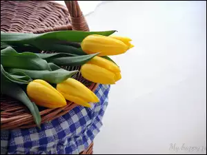 Koszyk, Tulipany, Wiklinowy, Żółte