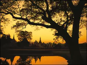 Kambodża, Jezioro, Budowle, Drzewo