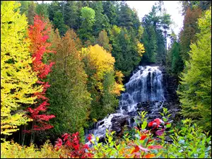 Jesień, Wodospad, Drzewa