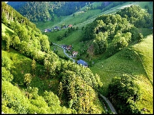 Wioska Schwarzwald, Droga, Góry, Drzewa, Doliny