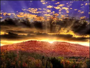 Słońca, Drzewa, Chmury, Jesień, Promienie, Kolorowe