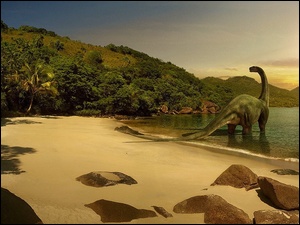 Skały, Wybrzeże, Dinozaur