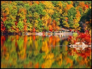 Las, Jezioro, Jesienny