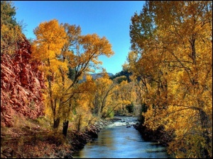 Jesień, Rzeka, Drzewa