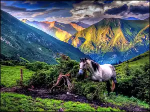 Koń, Góry, Chmury