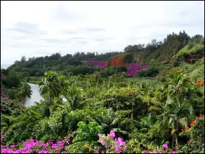 Hawaje, Ogród, Botaniczny
