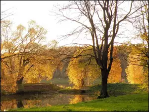 Park, Jesień, Rzeka, Drzewa