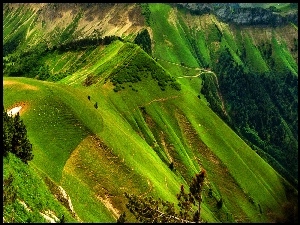 Alpy, Zielone, Góry
