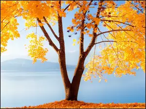 Jezioro, Jesień, Drzewo, Góry