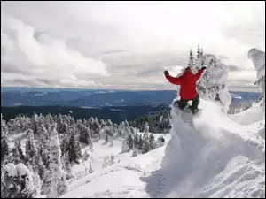Las, Snowboarding, Góry, Ośnieżone, Śnieg