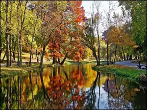 Jesien, Park, Rzeczka