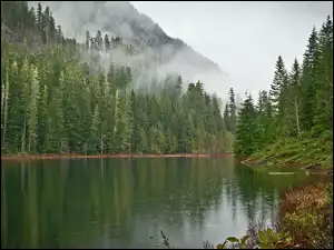Jezioro, Mgła, Lasy, Góry