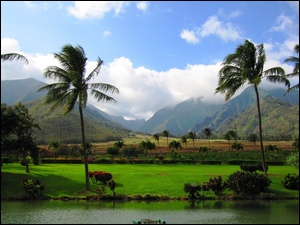 Palmy, Panorama, Hawaje, Gór, Łąka, Woda
